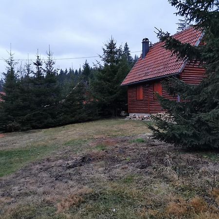Vila Tijana Mitrovac Esterno foto