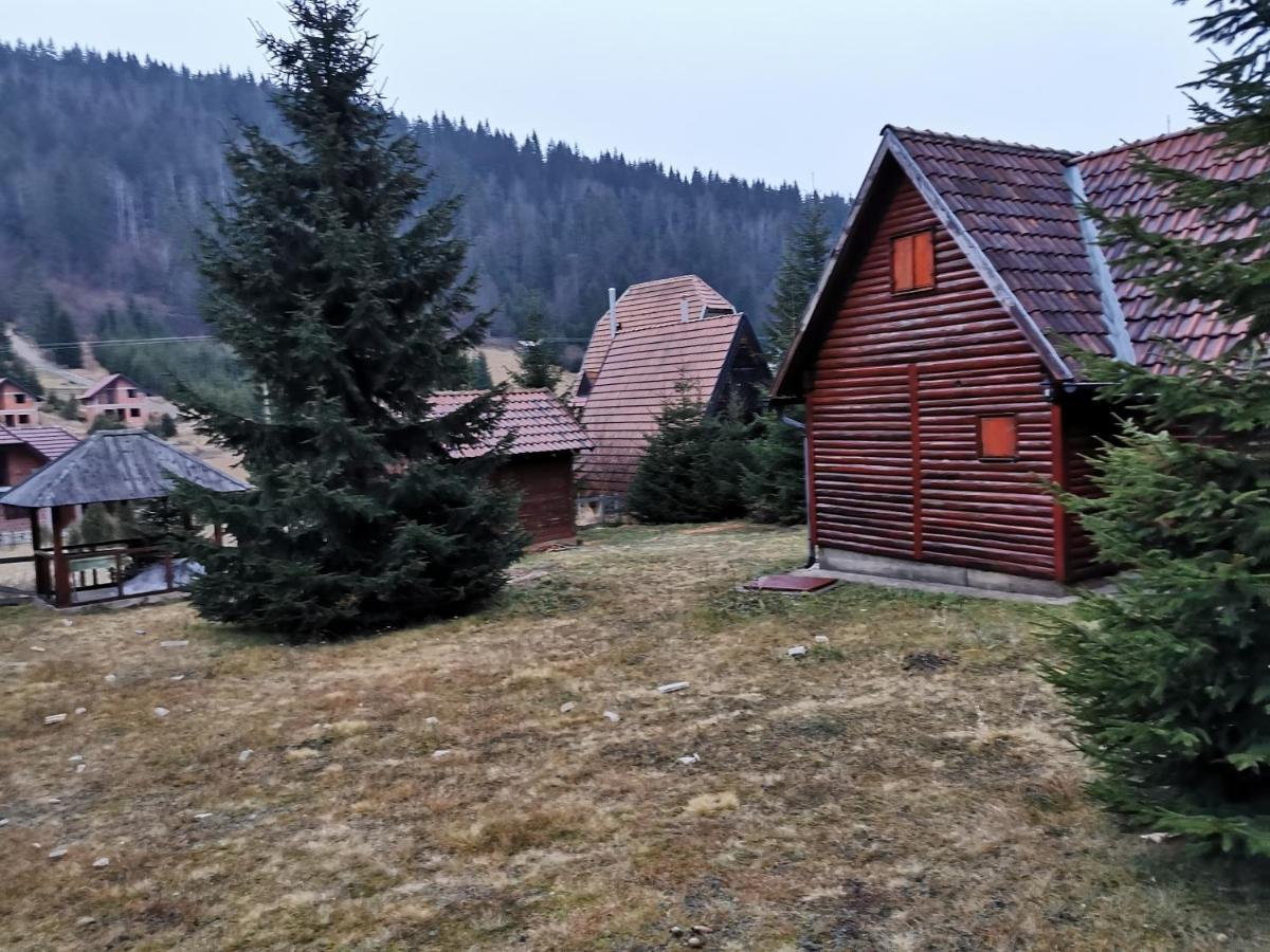 Vila Tijana Mitrovac Esterno foto