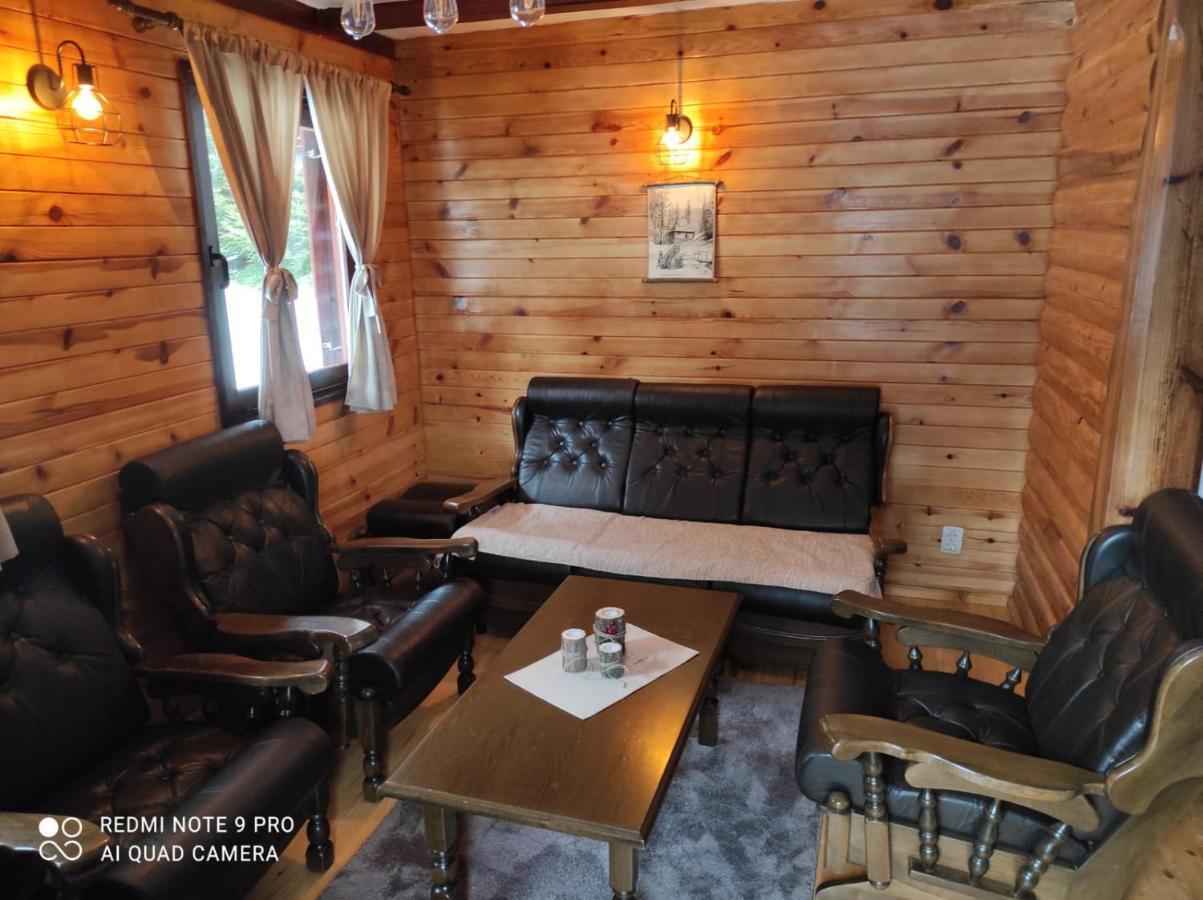 Vila Tijana Mitrovac Esterno foto