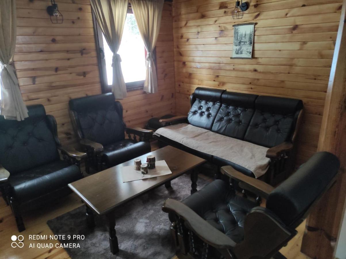 Vila Tijana Mitrovac Esterno foto